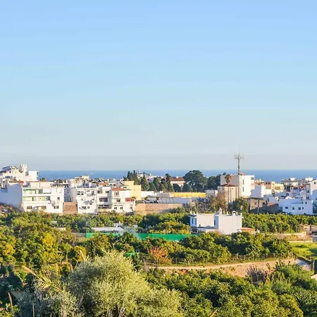 Antonio Pulga Villa *